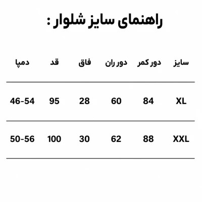 شلوار بگ مردانه خطدار (دمپا زیپ) بالنسیاگا HIVA